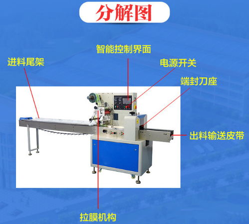 廣東興華盛食品包裝機(jī) 全自動(dòng)枕式包裝機(jī)廠家直銷 包裝機(jī)可制定