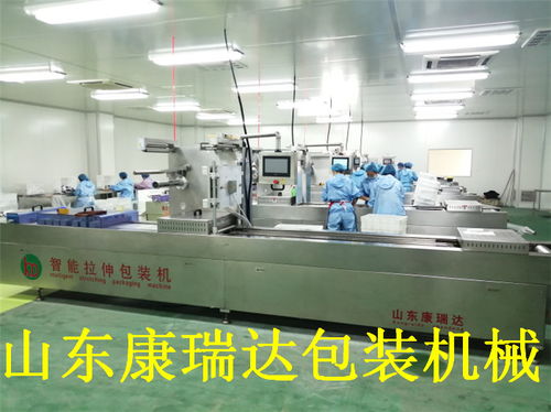 鴨脖全自動連續(xù)真空包裝機(jī)哪家好？山東康瑞達(dá)，誠信商家誠包裝機(jī)械的優(yōu)秀選擇